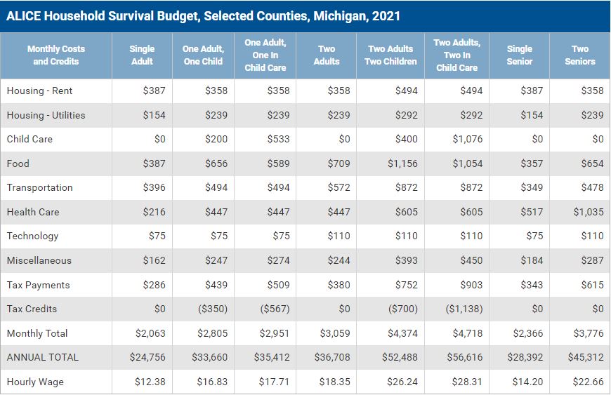 ALICE Survival Budget, Lakeshore Region, 2021