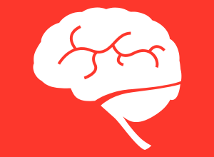 Brain
